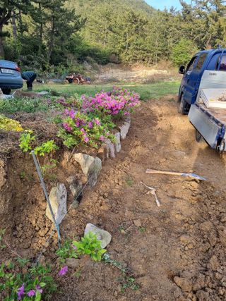 이대팔님의 복숭아 · 영농일지 작성글 사진