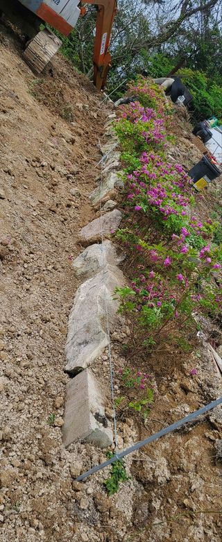 이대팔님의 복숭아 · 영농일지 작성글 사진