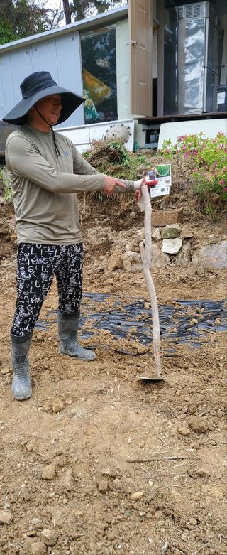 이대팔님의 복숭아 · 영농일지 작성글 사진