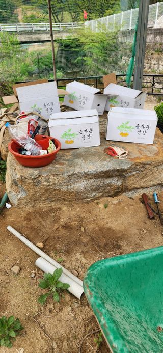 최군환님의 자유주제 · 자유게시판 작성글 사진