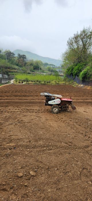 최군환님의 자유주제 · 자유게시판 작성글 사진