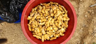 최군환님의 자유주제 · 자유게시판 작성글 사진