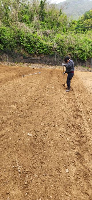 최군환님의 자유주제 · 자유게시판 작성글 사진
