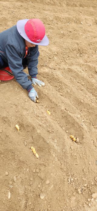 최군환님의 자유주제 · 자유게시판 작성글 사진