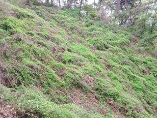 오영도님의 자유주제 · 자유게시판 작성글 사진