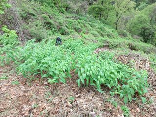 오영도님의 자유주제 · 자유게시판 작성글 사진