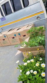 팜모닝 자유주제·자유게시판 게시글 이미지