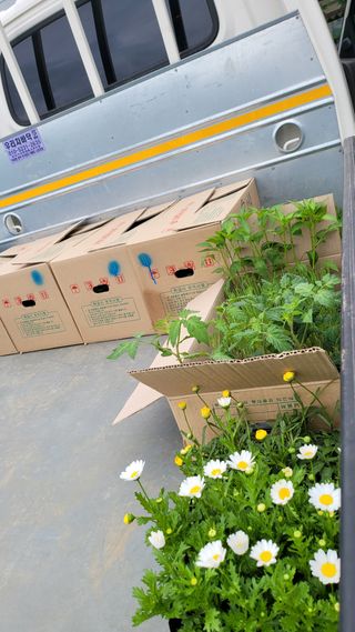 토마토21397님의 자유주제 · 자유게시판 작성글 사진