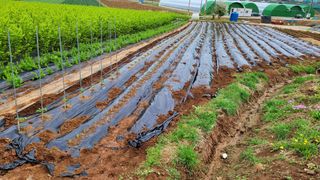 토마토21397님의 자유주제 · 자유게시판 작성글 사진