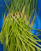 팜모닝 · 게시글 이미지