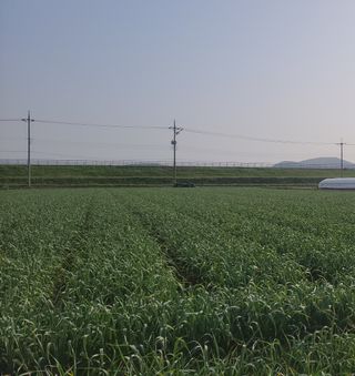 농사꾼 단비님의 작성글 사진