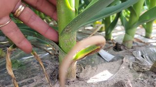 농사꾼 단비님의 작성글 사진