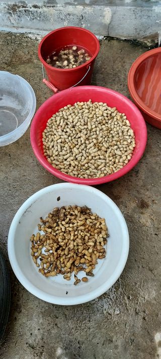 이경옥님의 자유주제 · 자유게시판 작성글 사진