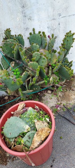 이경옥님의 자유주제 · 자유게시판 작성글 사진