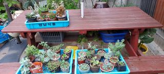 이경옥님의 자유주제 · 자유게시판 작성글 사진