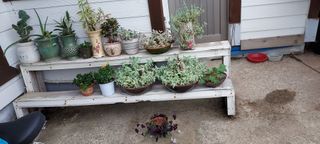 이경옥님의 자유주제 · 자유게시판 작성글 사진