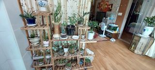 이경옥님의 자유주제 · 자유게시판 작성글 사진