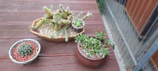 이경옥님의 자유주제 · 자유게시판 작성글 사진