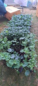 팜모닝 자유주제·자유게시판 게시글 이미지