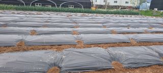 콩18930님의 자유주제 · 자유게시판 작성글 사진