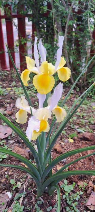 콩18930님의 자유주제 · 자유게시판 작성글 사진