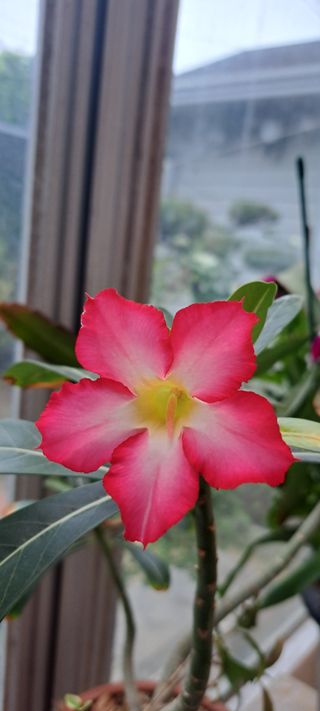 콩18930님의 자유주제 · 자유게시판 작성글 사진