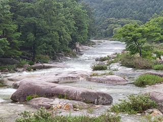 농촌환경을살리는사람님의 양배추 · 자유게시판 작성글 사진
