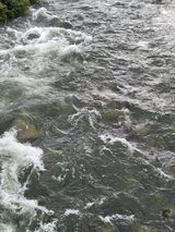 팜모닝 양배추·자유게시판 게시글 이미지