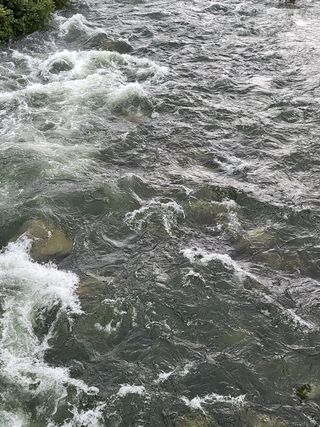 농촌환경을살리는사람님의 양배추 · 자유게시판 작성글 사진