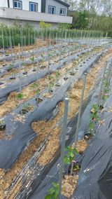 팜모닝 자유주제·자유게시판 게시글 이미지