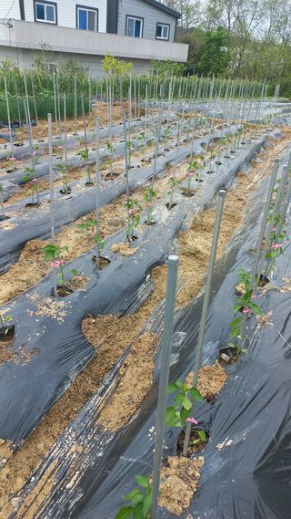 송월명님의 자유주제 · 자유게시판 작성글 사진