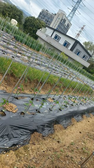 송월명님의 자유주제 · 자유게시판 작성글 사진