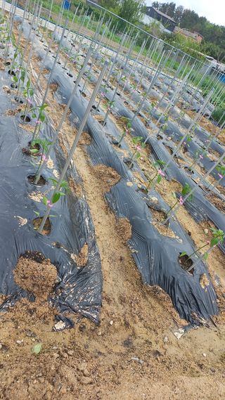 송월명님의 자유주제 · 자유게시판 작성글 사진