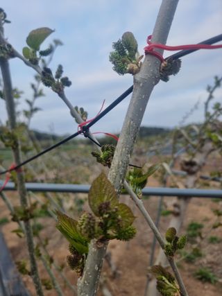 정영기대산축산농부♡님의 자유주제 · 자유게시판 작성글 사진