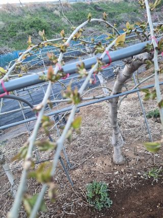 정영기대산축산농부♡님의 자유주제 · 자유게시판 작성글 사진