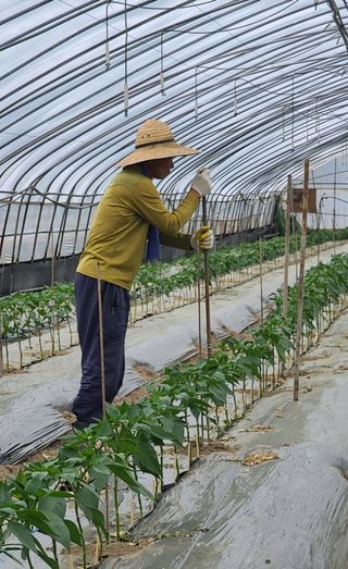 블루베리12300님의 자유주제 · 자유게시판 작성글 사진