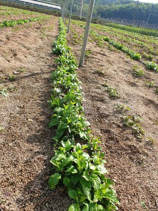 김화순님의 자유주제 · 자유게시판 작성글 사진