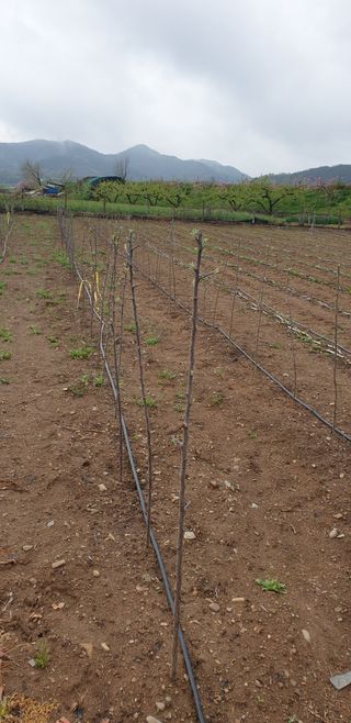 김화순님의 자유주제 · 자유게시판 작성글 사진