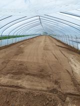 팜모닝 자유주제·자유게시판 게시글 이미지