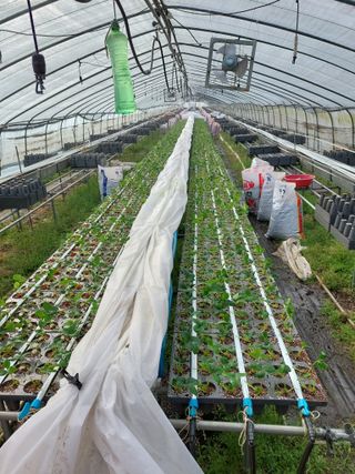 63337956골뱅님의 자유주제 · 자유게시판 작성글 사진