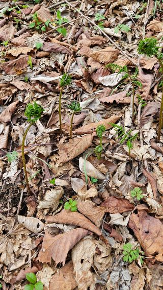 스마일님의 자유주제 · 자유게시판 작성글 사진