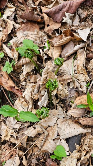 스마일님의 자유주제 · 자유게시판 작성글 사진