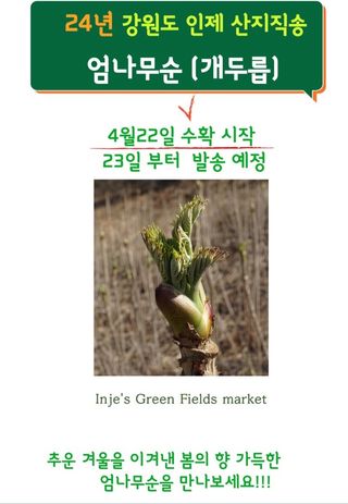 양헌국님의 작성글 사진