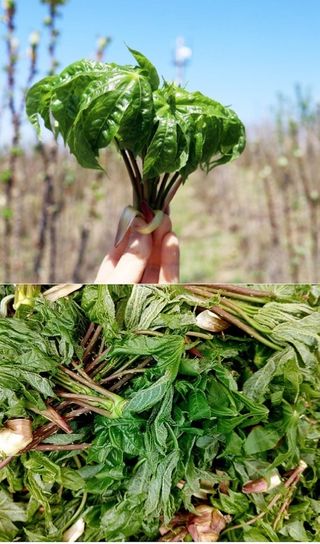 양헌국님의 작성글 사진