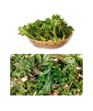 양헌국님의 작성글 사진