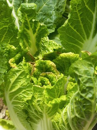 정경숙님의 자유주제 · 자유게시판 작성글 사진