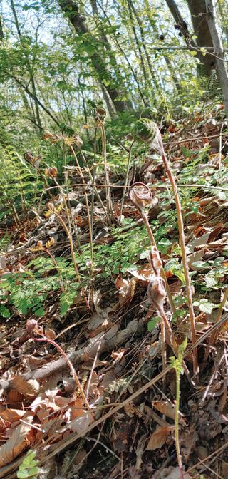 초록가족코난 허일영님의 자유주제 · 사진전 작성글 사진