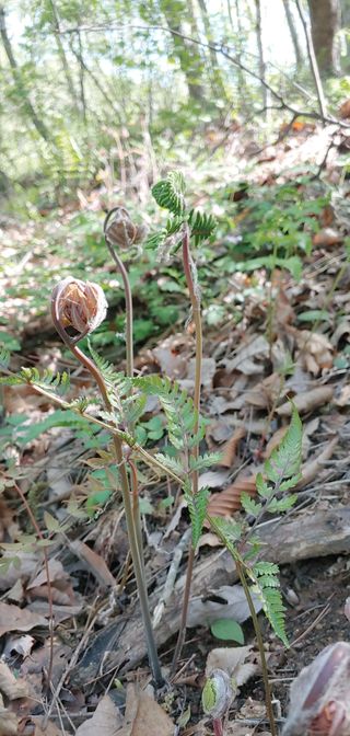 초록가족코난 허일영님의 자유주제 · 사진전 작성글 사진
