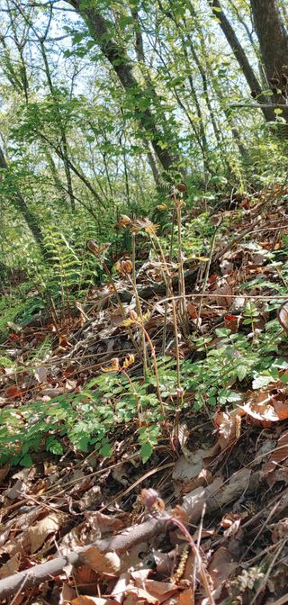 초록가족코난 허일영님의 자유주제 · 사진전 작성글 사진