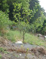 팜모닝 자유주제·자유게시판 게시글 이미지